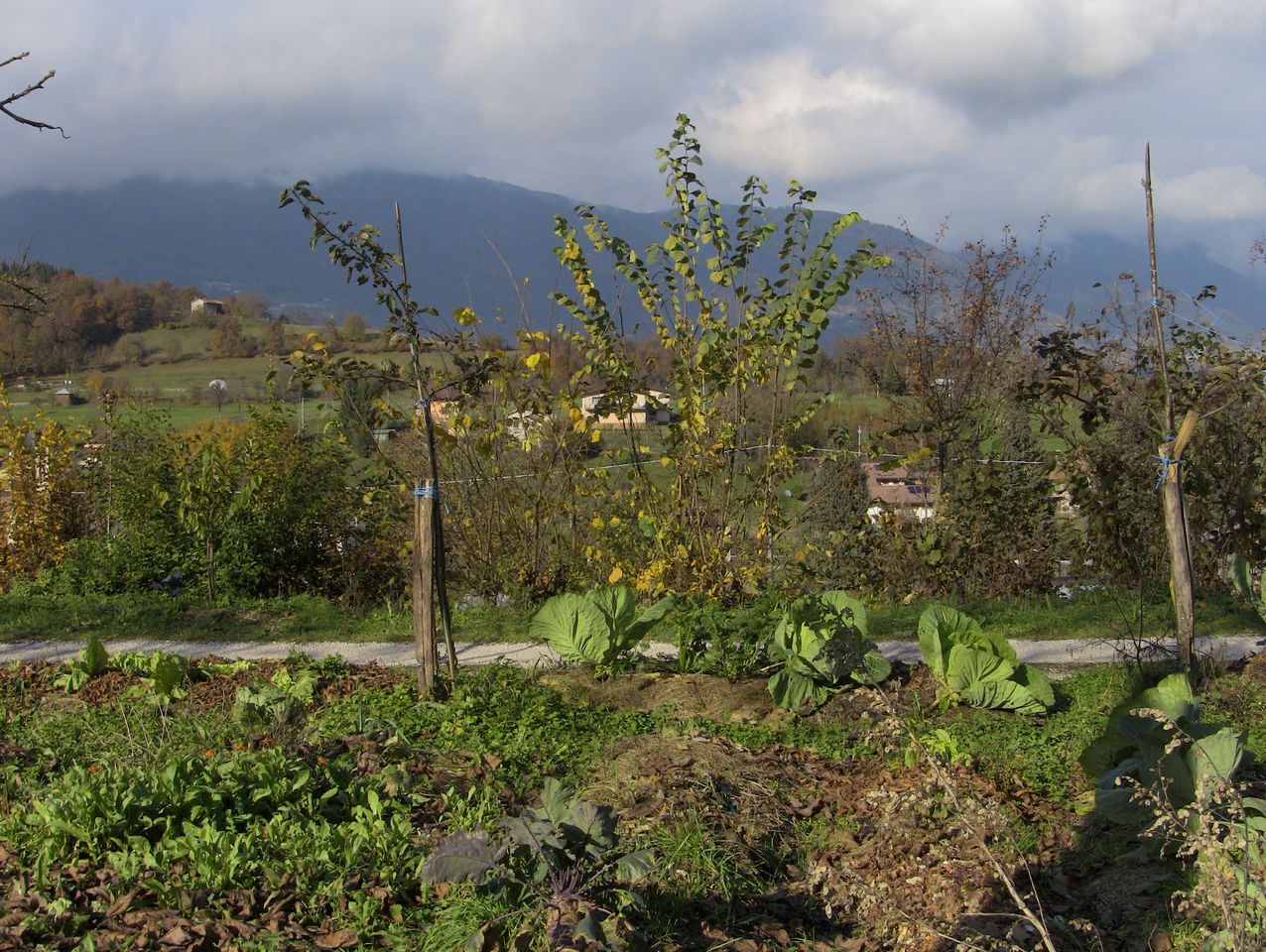 La sfida dell’agricoltura in montagna: il convegno Cia