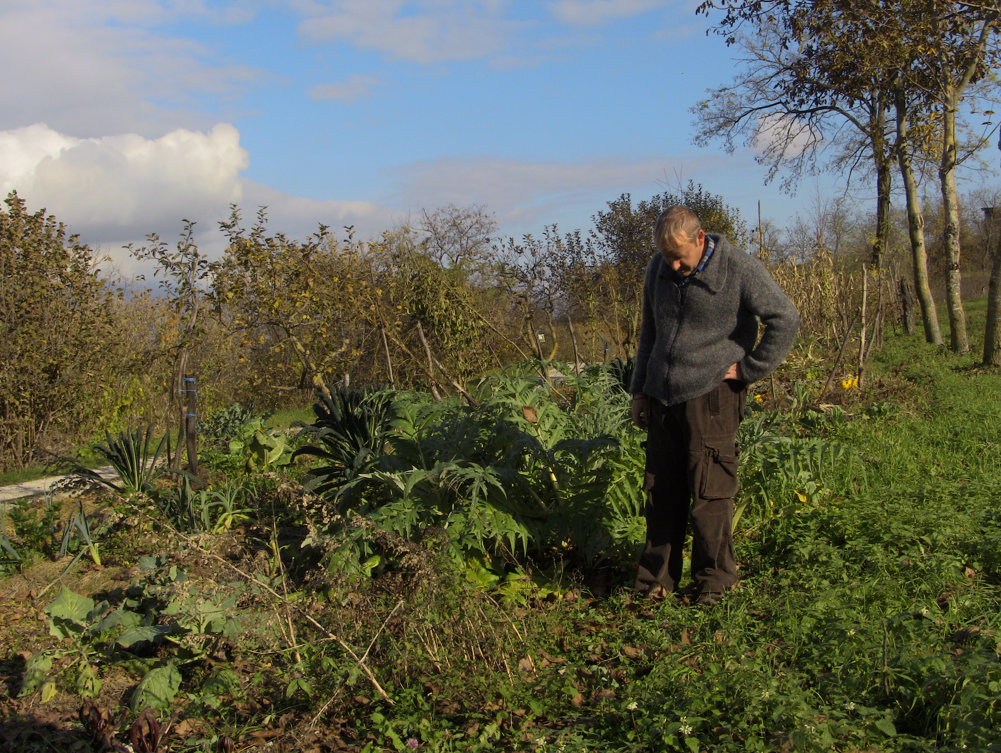 Agricoltura sana in montagna: appuntamenti e movimenti