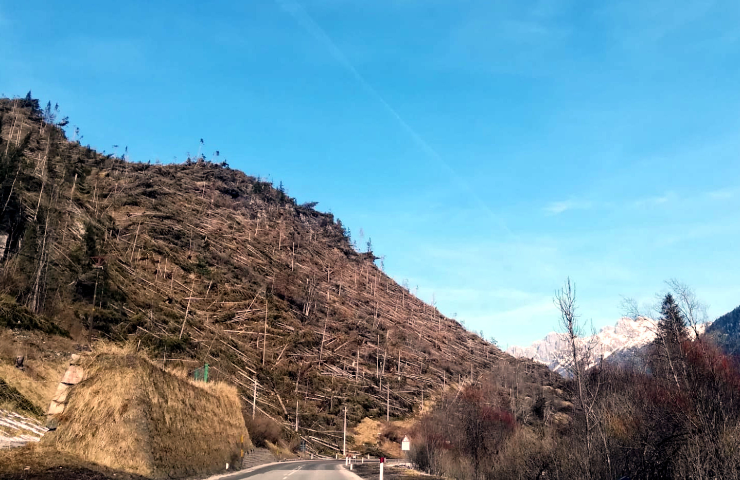 Le foreste dolomitiche dopo la tempesta Vaia: il convegno (1)