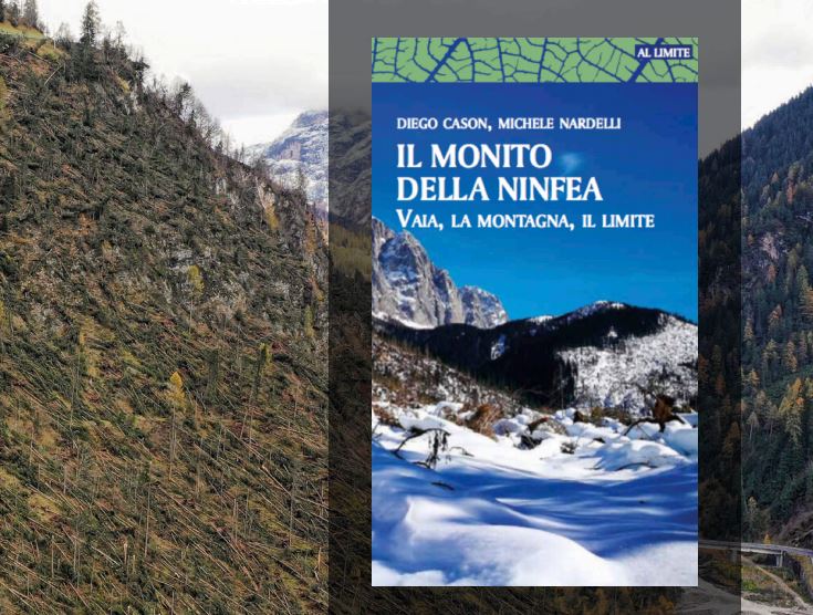 “Il monito della ninfea”: libro su Vaia, la montagna, il limite